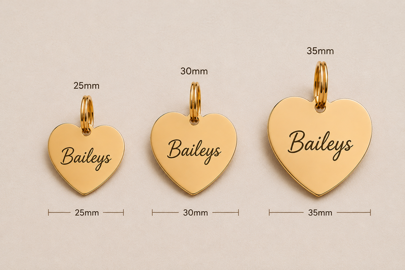 PawTime Engraved ID Tag