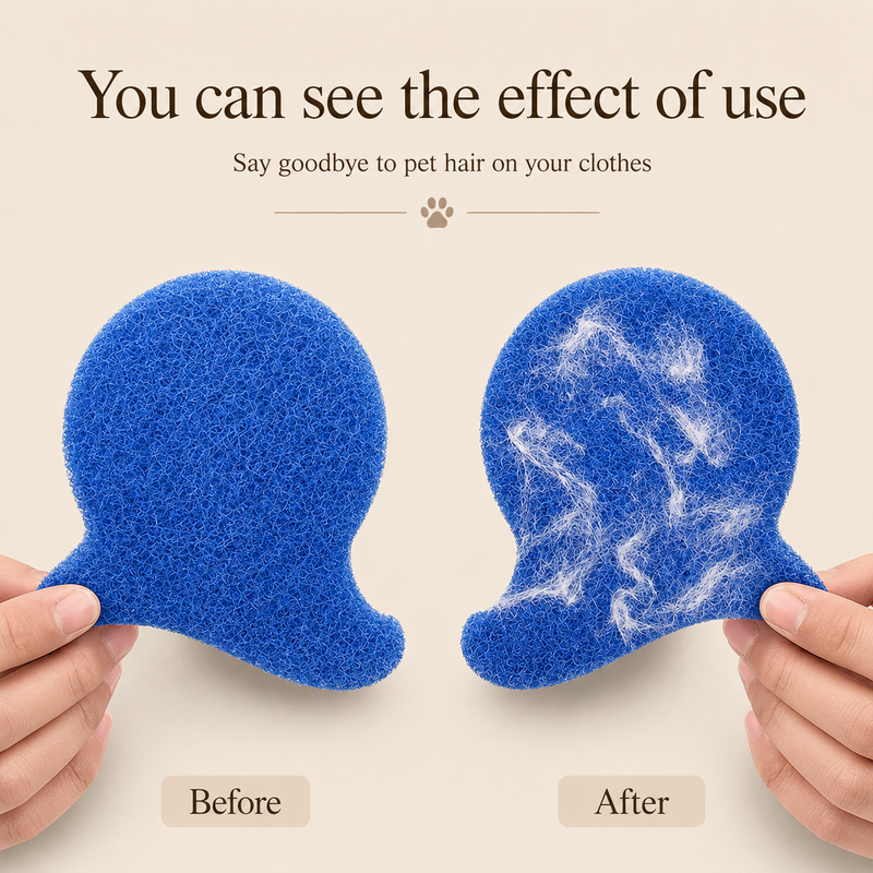 PawTime Lint & Hair Remover