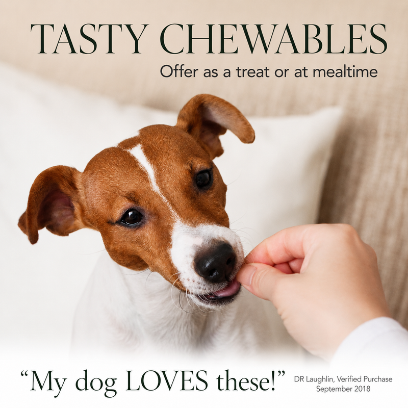 PawTime Joint Support Chews