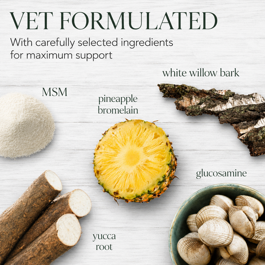 PawTime Joint Support Chews