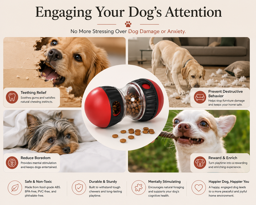 PawTime Treat Roller Ball