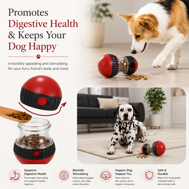 PawTime Treat Roller Ball
