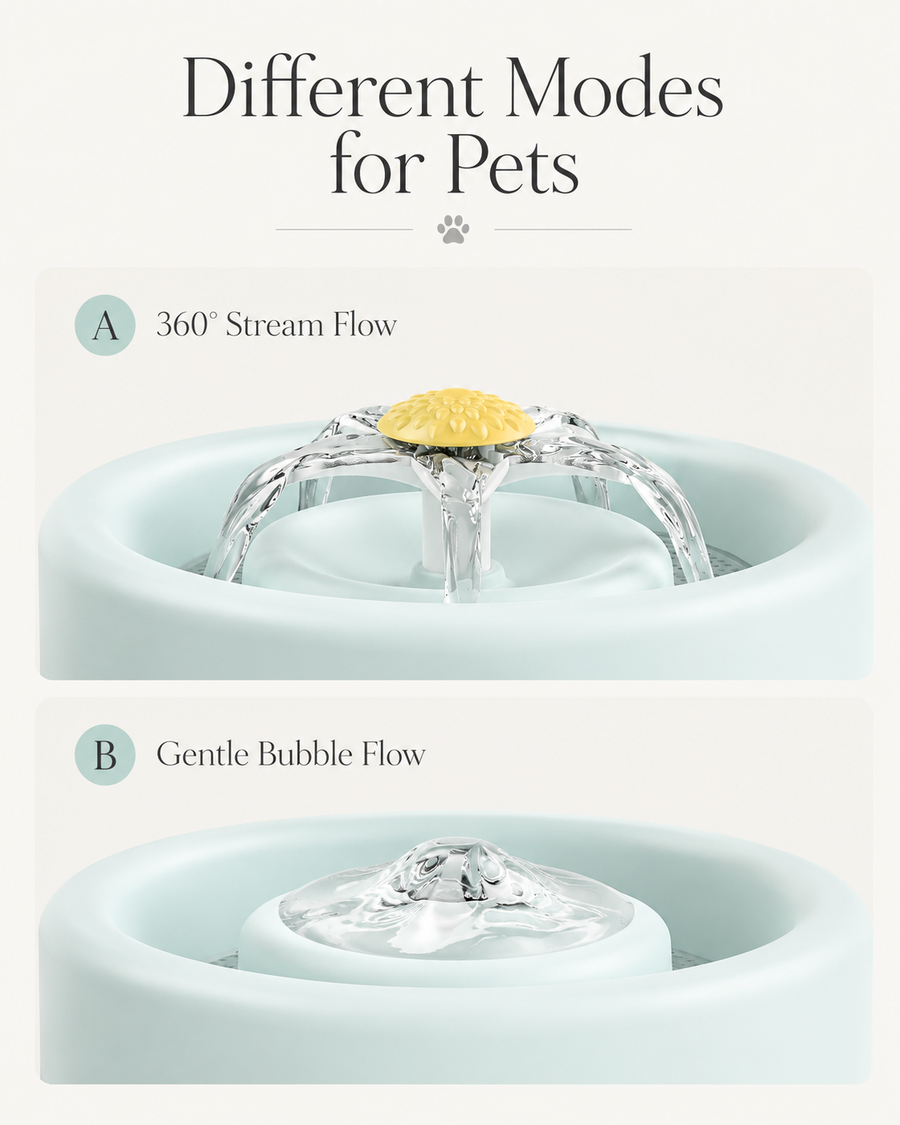 PawTime Auto Water Fountain