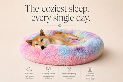 Calming Donut Pet Bed for Small Dogs 20", Anti-Anxiety Plush Cozy Warming Dog Bed, Pink Rainbow